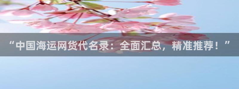 公海 赌船710手机版下载官方