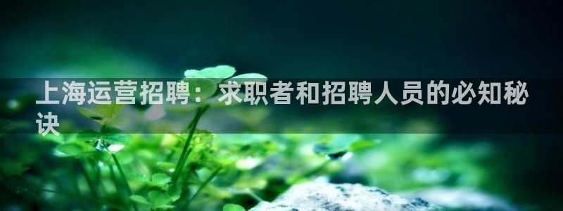 公海赌赌船官网710忘记账号了